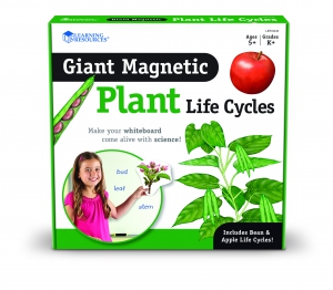 Magnetický životní cyklus rostlin