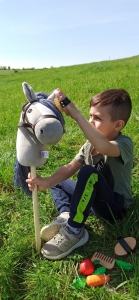 HOBBY HORSING KŮŇ