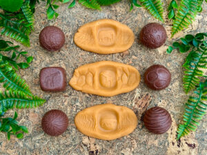 Tvořivé obtiskovací koule - divoká zvířata