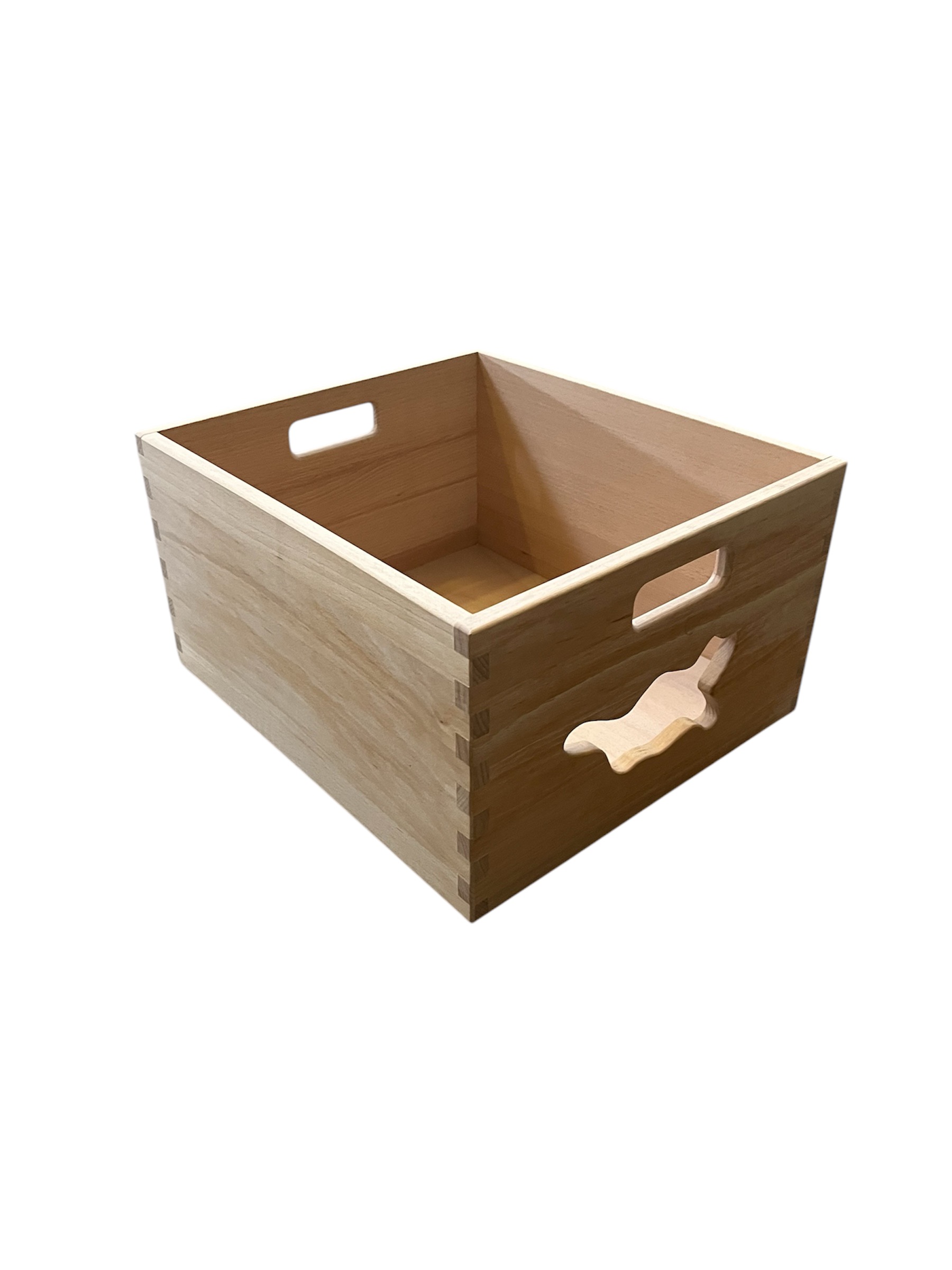 Zásuvka kočka surová