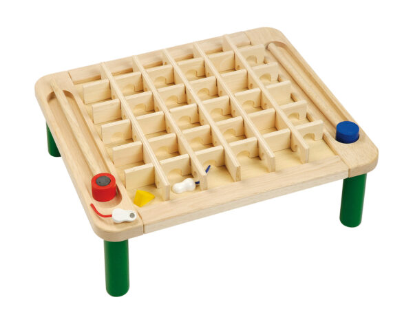Magnetické bludiště myši