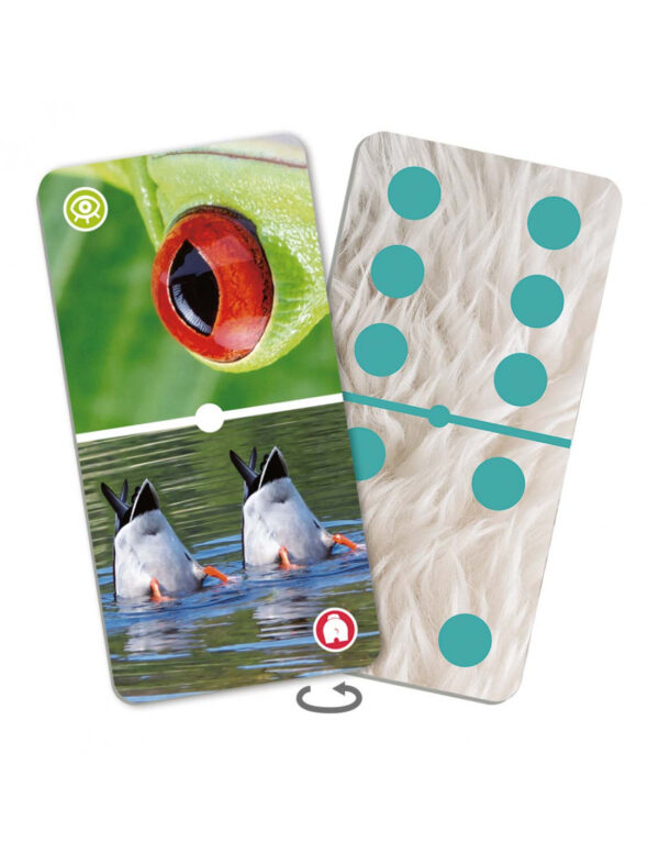 Části a detaily zvířat – domino - Obrázek 4